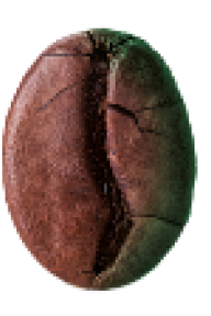 Image of a coffee bean